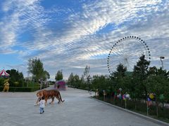 -霸王河欢乐世界