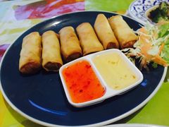 -Jungle Kitchen