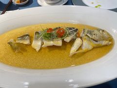 鸡油花雕蒸生态大黄鱼-麟1929(外滩店)