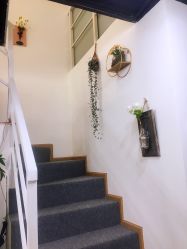 -Doris多里斯半永久纹眉·SMP纹发·发际线