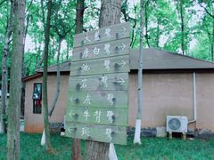 -象山森林公园