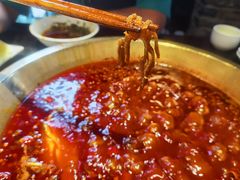-巴蜀大宅门火锅(新华公园店)