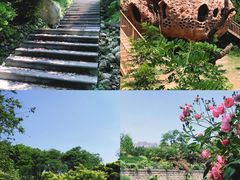 -陕西省西安植物园