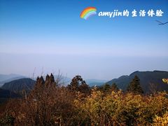 -武陵山森林公园