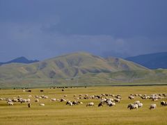 -青海湖国家重点风景名胜区