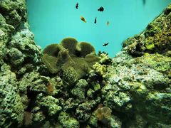 -鹿儿岛水族馆