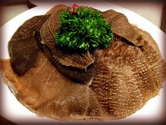 精品毛肚-海底捞火锅(雄峰城店)