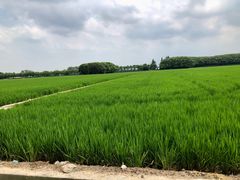 -嘉北郊野公园