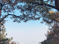 -惠山国家森林公园