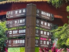 -野象谷景区