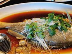-新天世纪中餐厅