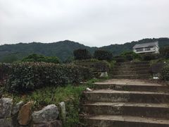-十八棵（老龙井）御茶园(老龙井店)