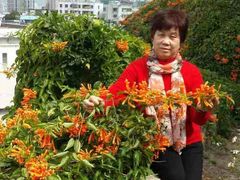 -常德桃花源景区