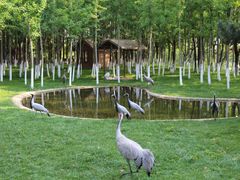 -艾溪湖湿地公园