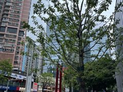 -徐妹串串香(春熙路店)