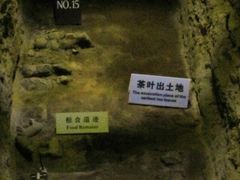 -汉景帝阳陵博物院