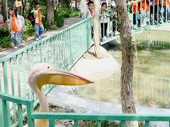 -水上乐园·欢乐世界