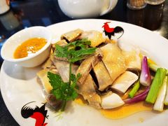白切鸡-红星光发煲仔饭(文海店)
