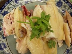 三黄鸡-九斤黄三黄鸡专卖店