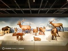 -陕西自然博物馆