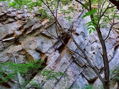 -大岭沟猕猴桃谷风景区