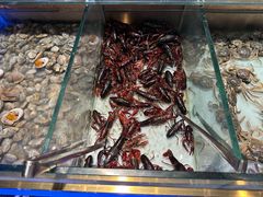 -鼎香缘海鲜自助火锅烤肉(锦辉购物广场店)