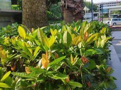 -大家乐(深圳中信店)