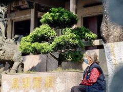 -凤凰山公园-龙王古庙