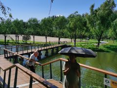 -东郊湿地公园