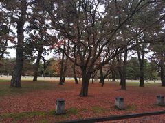 -京都御所