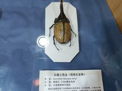 -上海昆虫博物馆