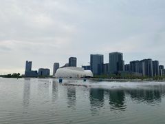 -金沙湖公园