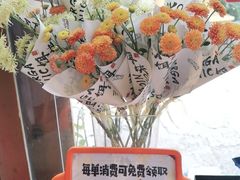 -饵块食光·云南有机手作饵块