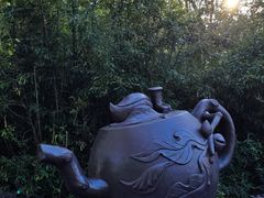 -东湖落雁景区