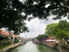 -马六甲鸡场街