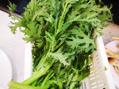 -黑山牛肉汤火锅(花城汇店)