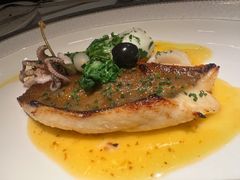 香烤新鲜橙鲷鱼佐法葱奶油汁-弗兰克牛排西餐厅Ribone steak house(柠檬花园店)