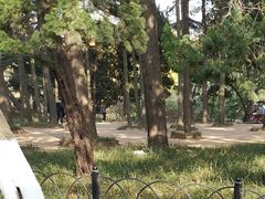 -八大关景区