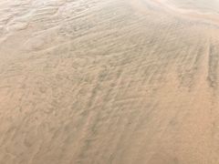 -日照海滨国家森林公园