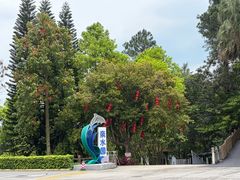 -广州市流溪河国家森林公园