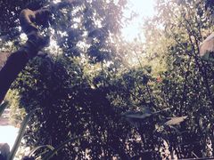 -荔景渔庄