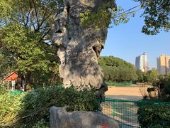 景点-黄兴公园
