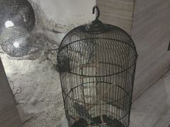 -云中漫步·足疗养生会馆(金开店)