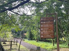 -海口火山口国家地质公园