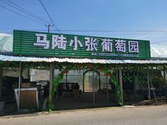 -马陆小张葡萄园农家乐