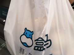 -盒马X会员店(王府井奥莱UP TOWN店)