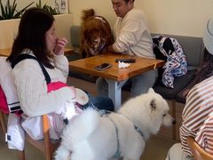 -小意思咖啡店(草桥店)