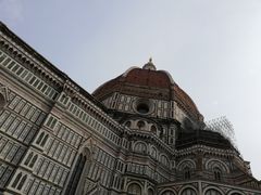 -圣母百花大教堂穹顶