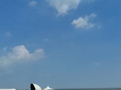 -碧海金沙