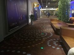 -万达影城(乐山万达广场IMAX店)